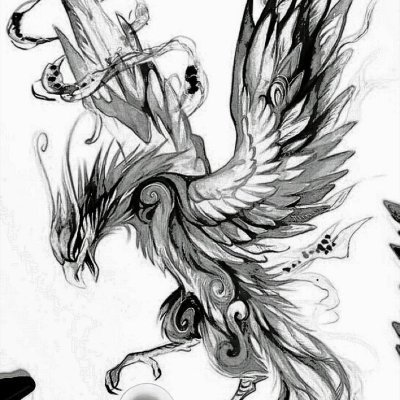 Phoenix 🐦‍🔥