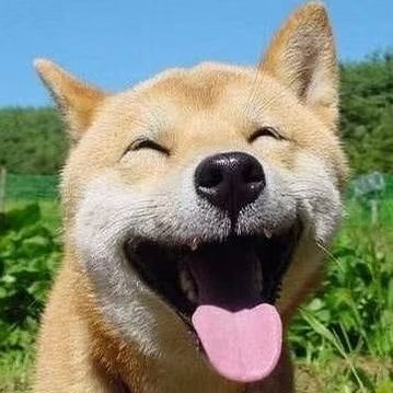 弓长